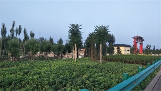 標(biāo)題：張家口經(jīng)開區(qū)腰站堡飲用水源地生態(tài)涵養(yǎng)綠化
瀏覽次數(shù)：2598
發(fā)表時間：2020-10-16