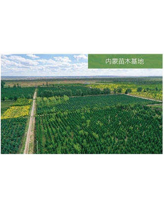 標(biāo)題：苗木基地
瀏覽次數(shù)：2042
發(fā)表時(shí)間：2020-10-17
