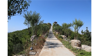 標(biāo)題：張家口太子山山體修復(fù)
瀏覽次數(shù)：18421
發(fā)表時間：2020-11-12